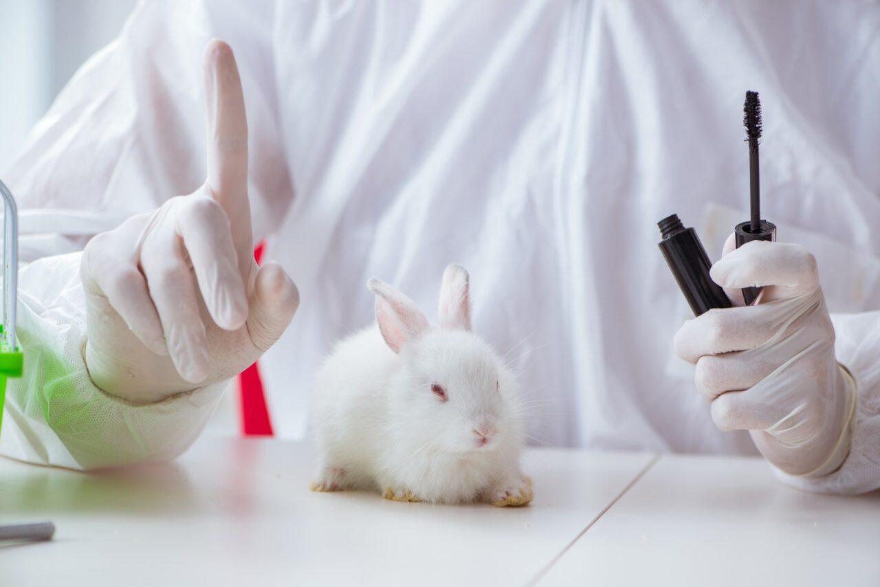 Sperimentazione dei cosmetici sugli animali: divieti e deroghe